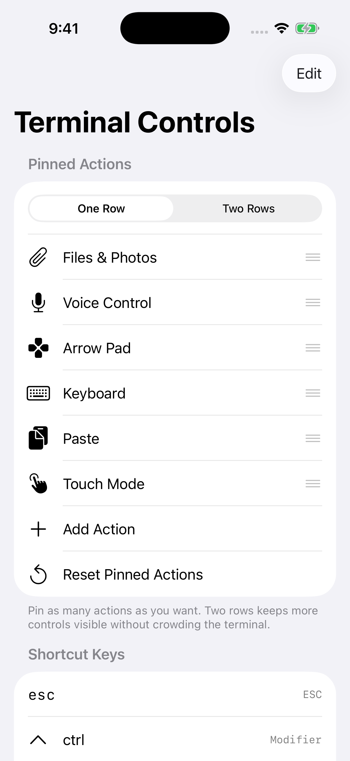 Hero controls editor showing pinned toolbar actions and custom shortcuts