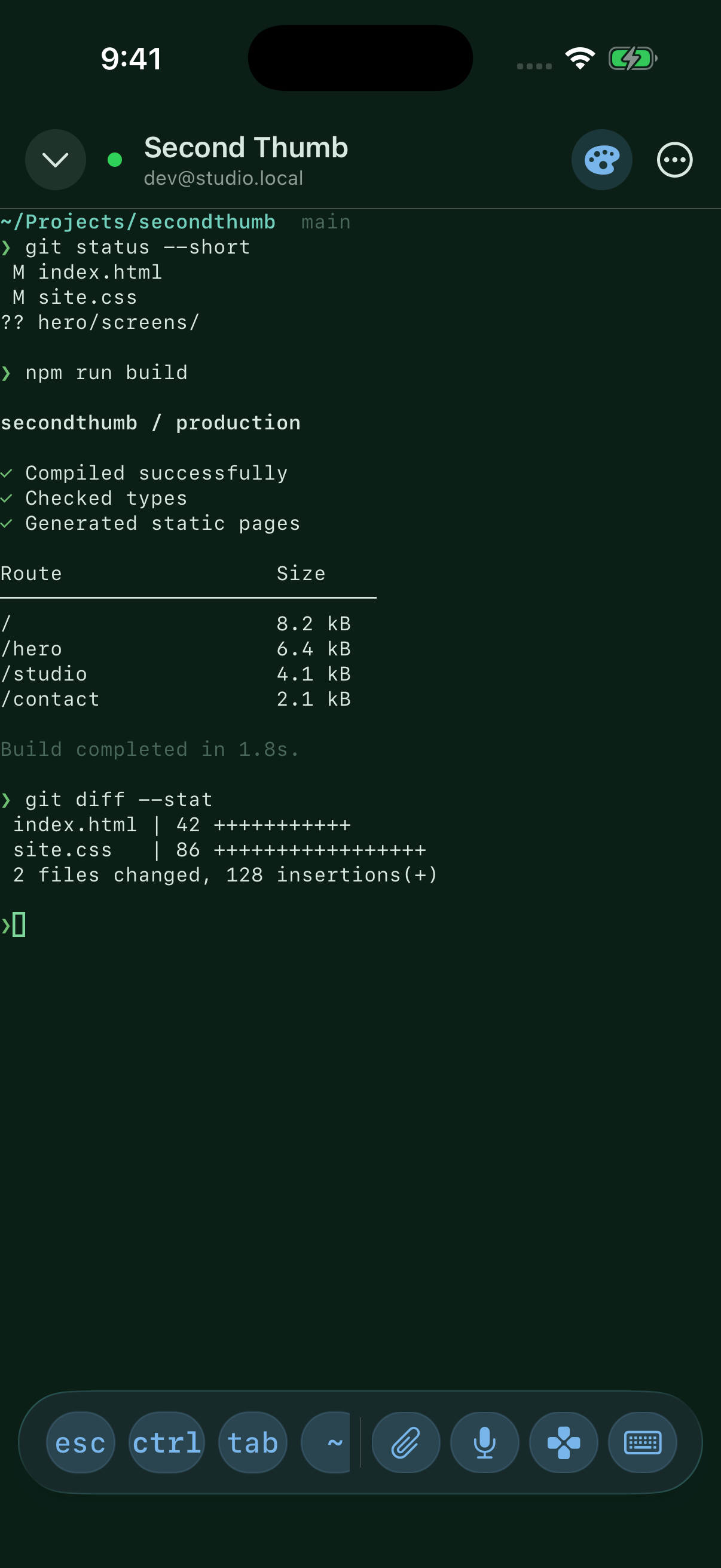 Hero terminal using Forest: a deep green background and soft green text